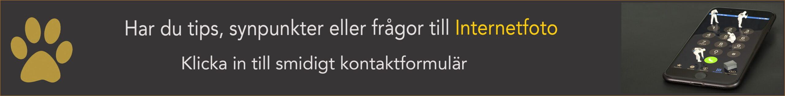 Internetfoto Kontakt
